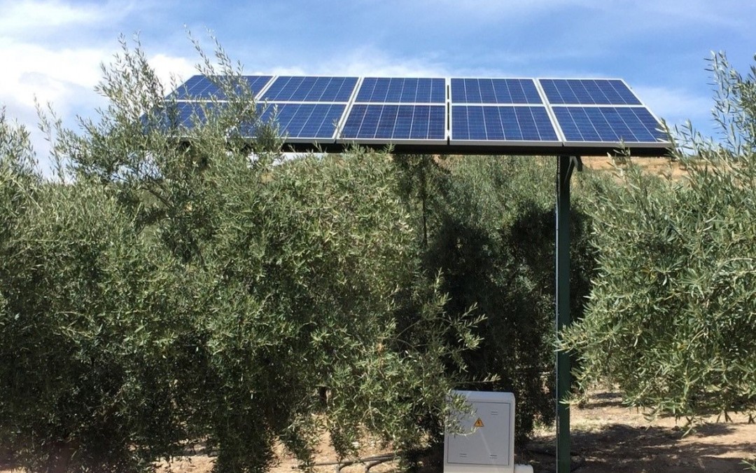 BOMBEO SOLAR Y RIEGO LLAVE EN MANO PARA OLIVAR